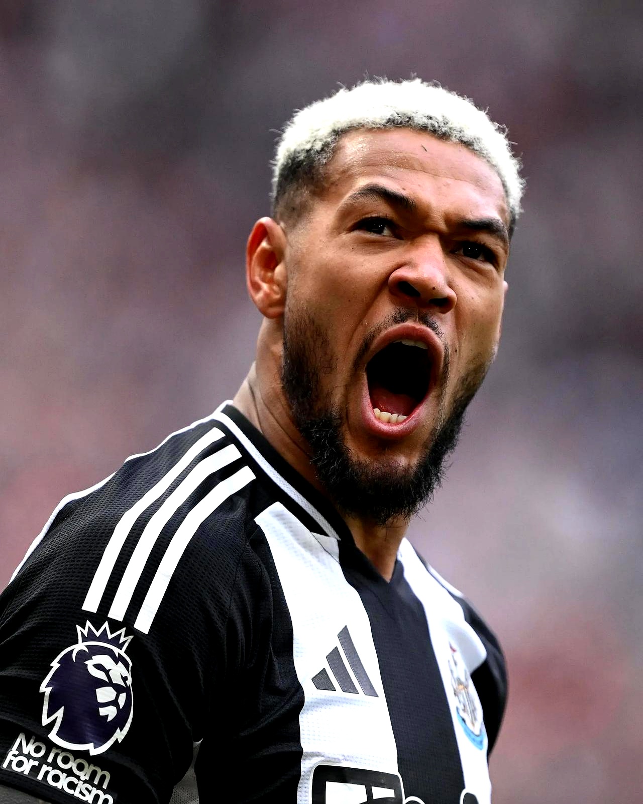 关于里程碑夜！纽卡斯尔复出首秀；法甲转会期刷纪录；态度坚定；轮换策略成焦点的信息